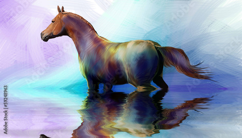 Fototapeta Naklejka Na Ścianę i Meble -  Horse