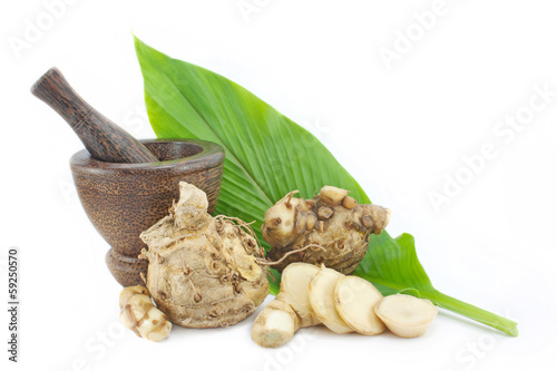 Curcuma xanthorrhiza Roxb and Mortar. Wan-chak-mot-luk photo