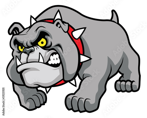 classic bulldog pose