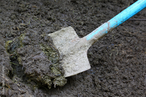 Manure with spade