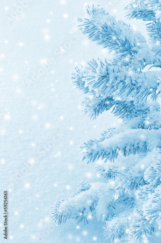 Winter background with snow-covered tree