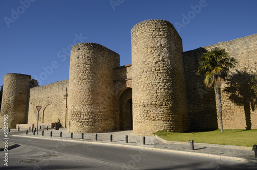 Almocabar gate, Ronda, Spain photo