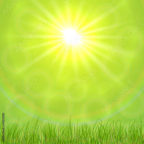 Vector Abstract Spring Background