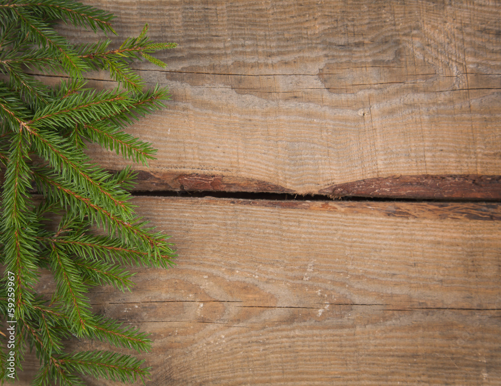 wood and tree wood and tree