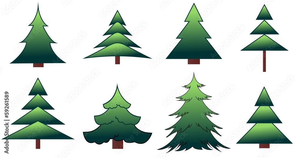 Fototapeta premium The set of the fir-trees and pines