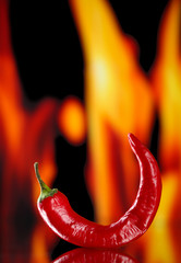 Papier peint photo Piments forts Piment chili sur brasier ardent  © Africa Studio