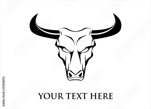 wild white bull with the black horn