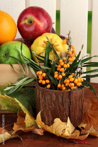 Different fruits in box and branch of sea buckthorn