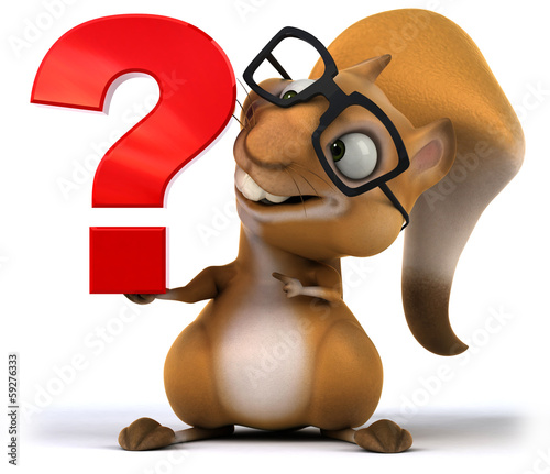 Fototapeta Naklejka Na Ścianę i Meble -  Squirrel