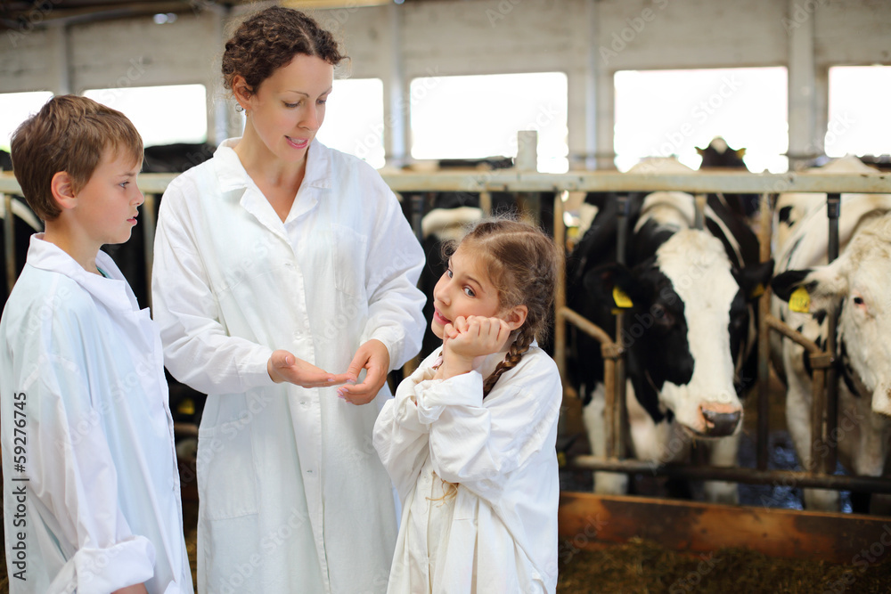 Obraz premium Mother, son and little daughter talk in stall with many cows.