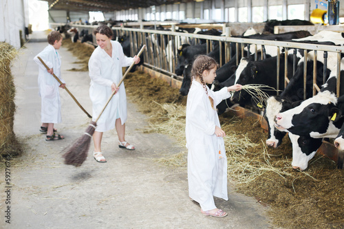 Happy family of three work in large farm with many cows.