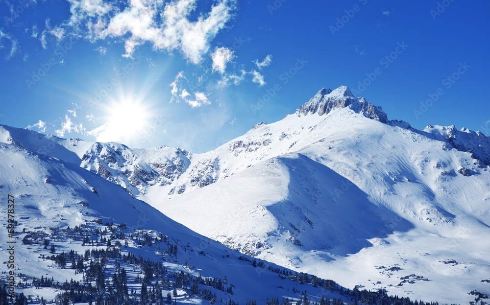 Fototapeta premium Winter Mountains