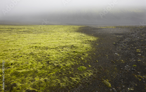 Iceland. South area. Lakagigar. Volcanic landscape. photo