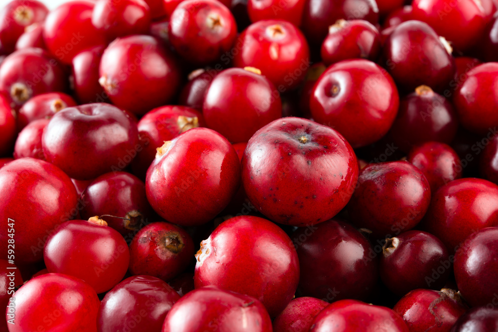 Red ripe cranberries macro. Food background Red ripe cranberries macro. Food background