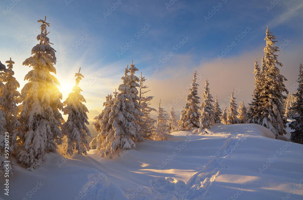 Obraz premium Sunny winter evening