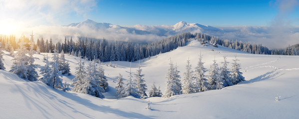 Tableau sur plexiglas Hiver Panorama de sommets enneigés en montagne  © Oleksandr Kotenko
