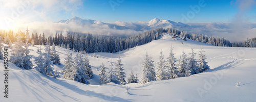 Panorama of winter mountains #59290341