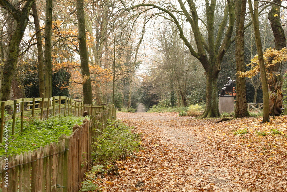 Obraz premium holland park london autumn woodland park and trees