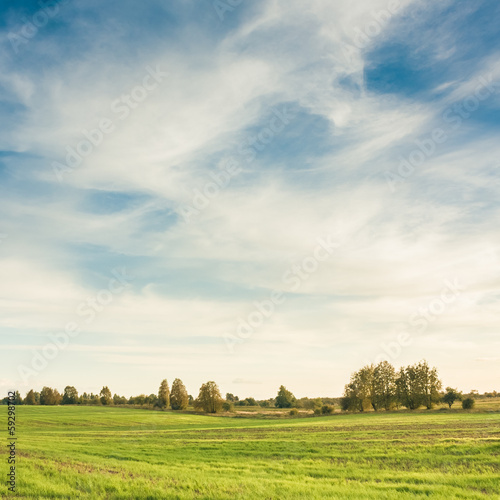 Green field and blue sky