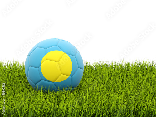 Football with flag of palau