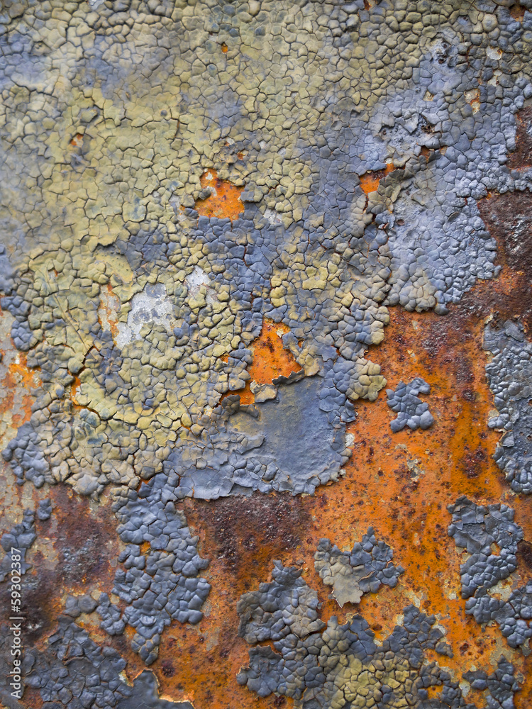 Rusty metal panel Rusty metal panel