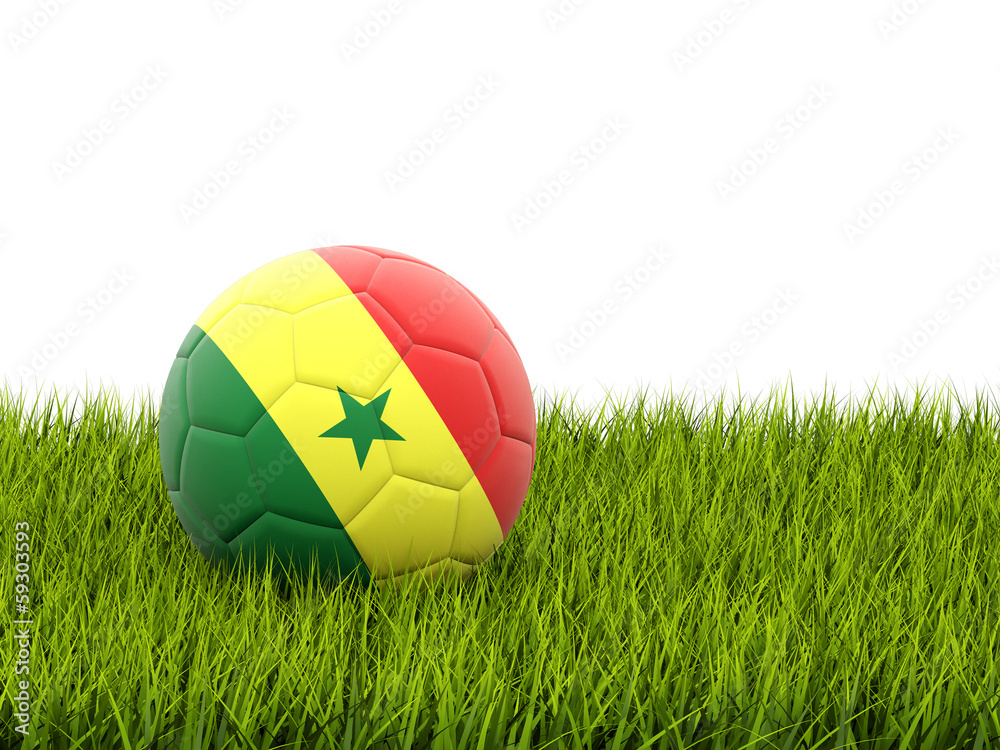 Fototapeta premium Football with flag of senegal