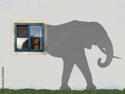 Shadows on the wall with a window, Elephant