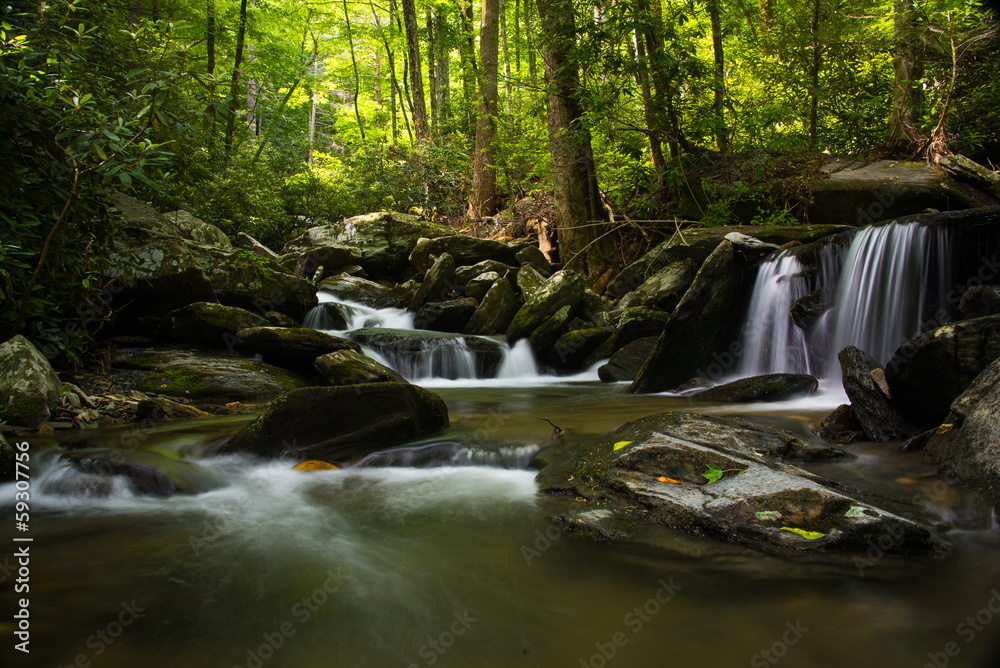 Fototapeta premium Lush Blue Ridge Cascades