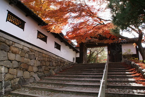 秋の知恩院北門