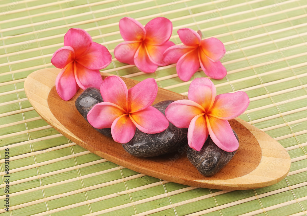 Plumeria flowers isolated on white Plumeria flowers isolated on white
