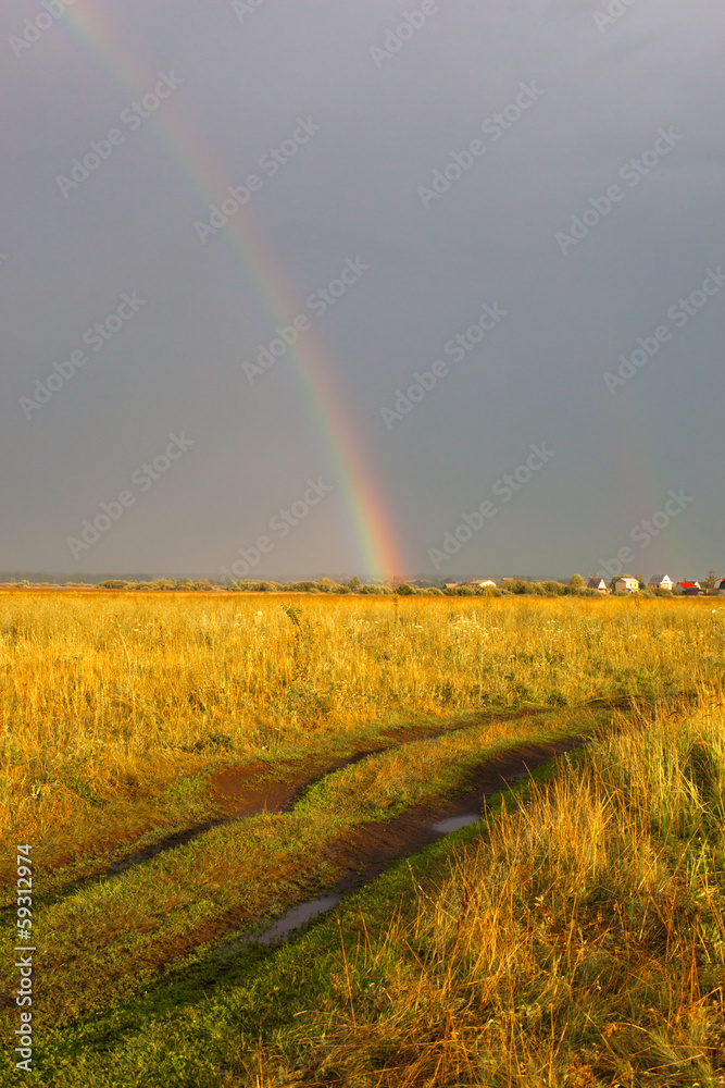 Obraz premium Rainbow Meadow
