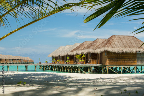 Fototapeta Naklejka Na Ścianę i Meble -  Maldives bungallow with palm tree as foreground element