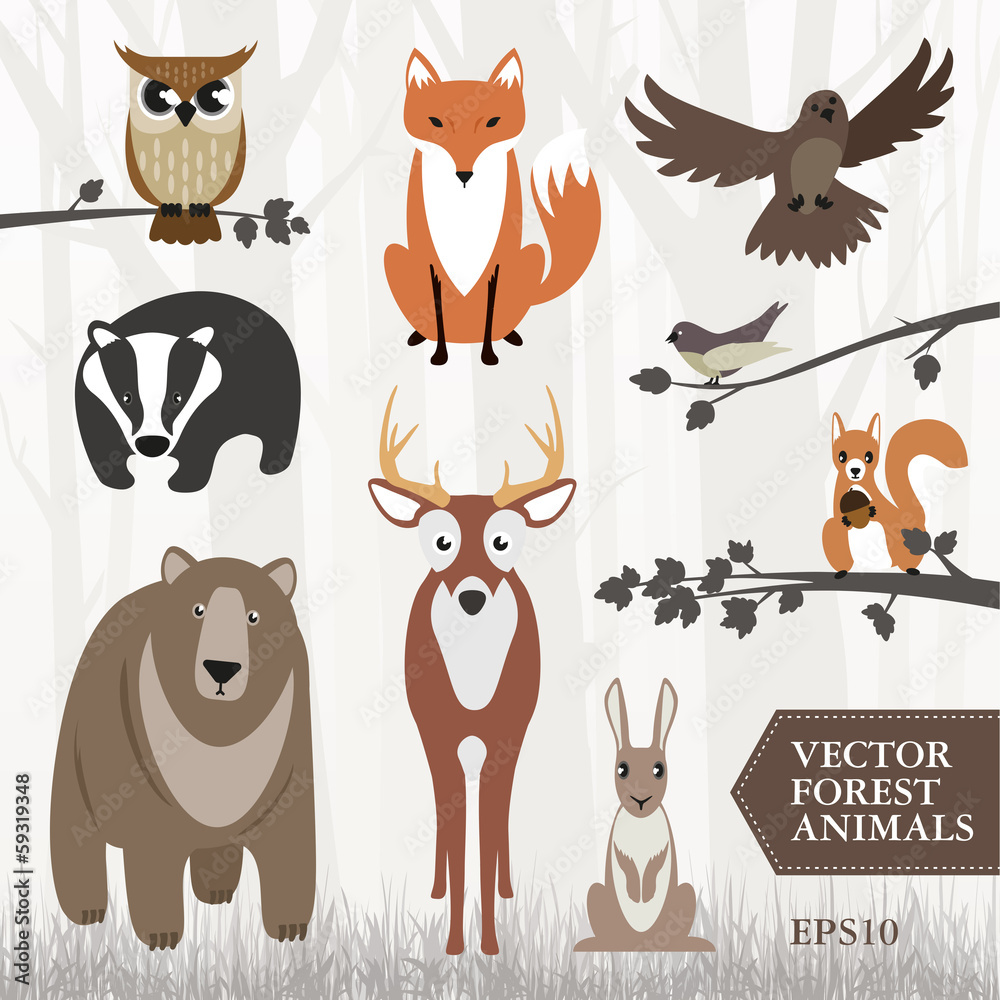 Fototapeta premium Set of forest animals. Vector image