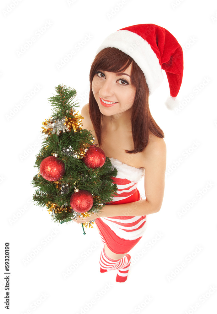 Santa woman with christmas tree. Wide angle Santa woman with christmas tree. Wide angle