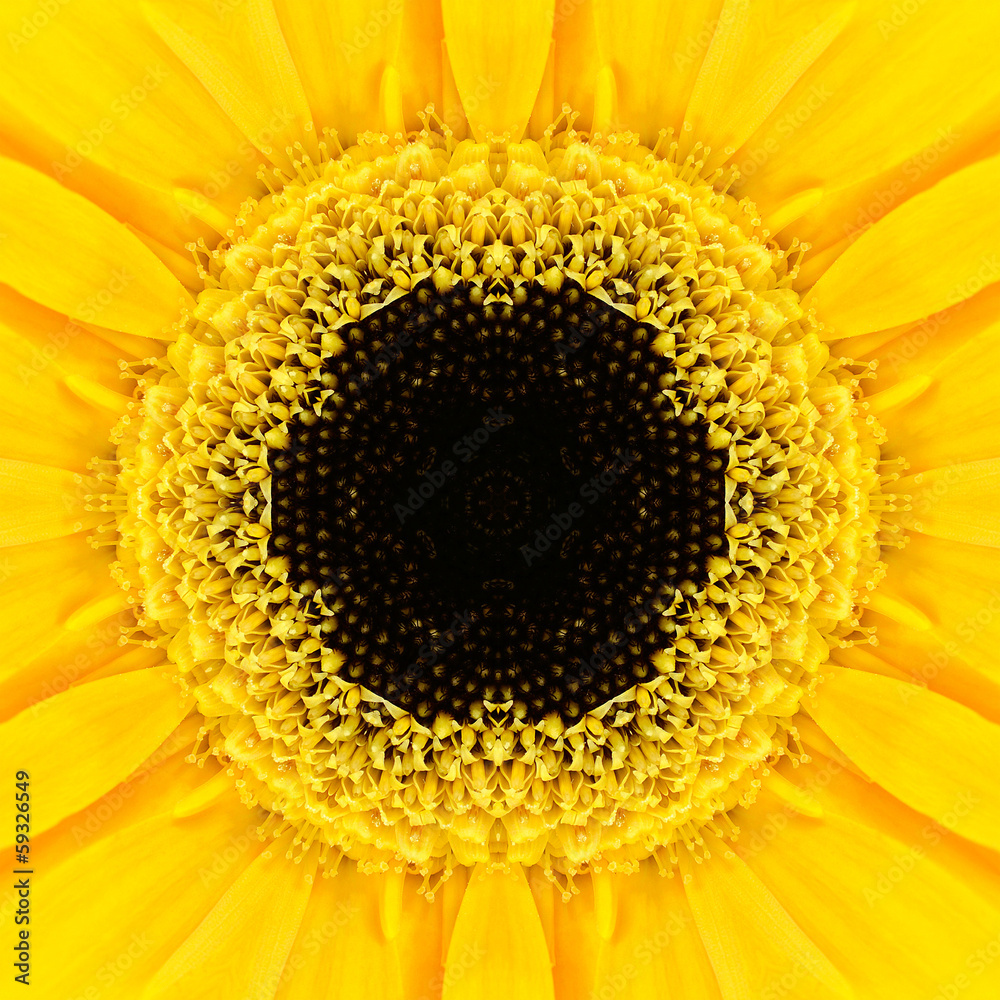 Yellow Concentric Flower Center. Mandala Kaleidoscopic design Yellow Concentric Flower Center. Mandala Kaleidoscopic design