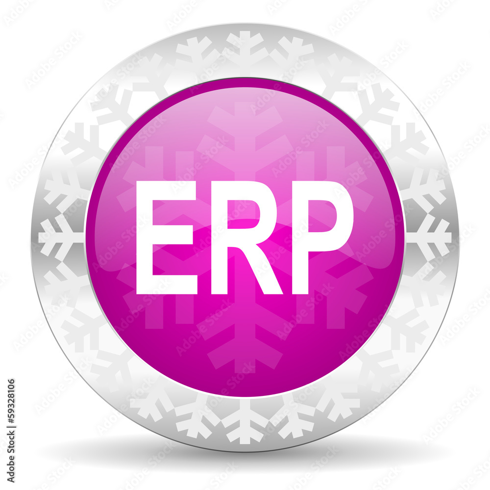 erp christmas icon