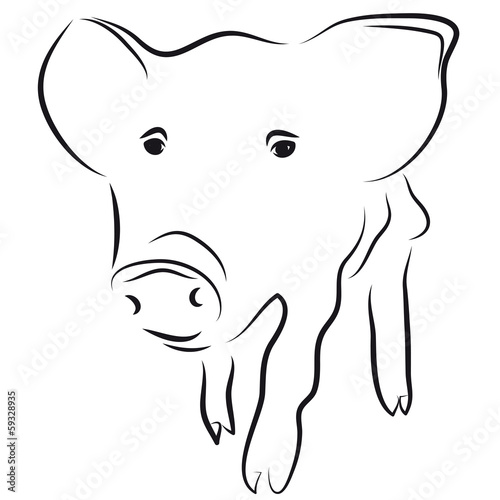 Kleines Ferkel - Schwein - Holstein, artgerechte Haltung von Nutztieren