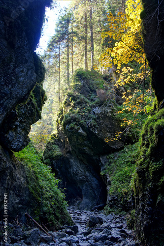 Cracow gorge in Tatras Mountains  Poland