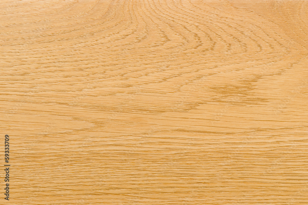 nature pattern detail of Ash wood background nature pattern detail of Ash wood background