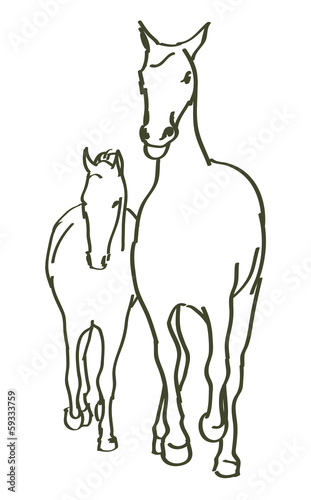 hand drawn horses