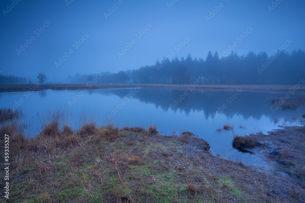 Fototapeta premium wild lake in dense autumn fog
