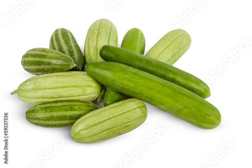 Fresh cucumber variety
