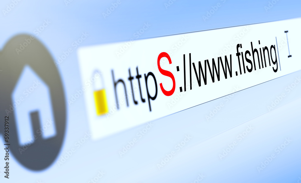 browser bar with https typed in, padlock and fishing domain name - obrazy, fototapety, plakaty 