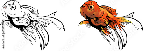goldfish