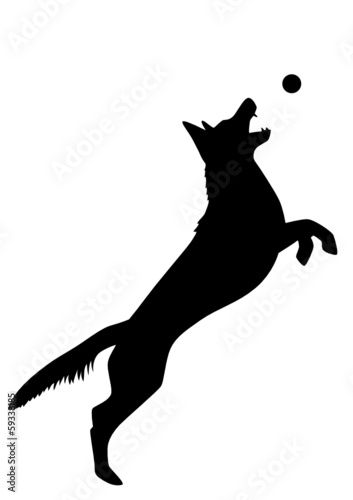 Schäferhund