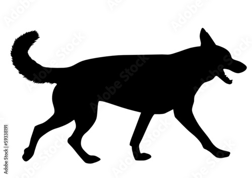 Schäferhund