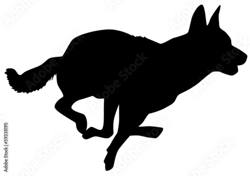 Schäferhund