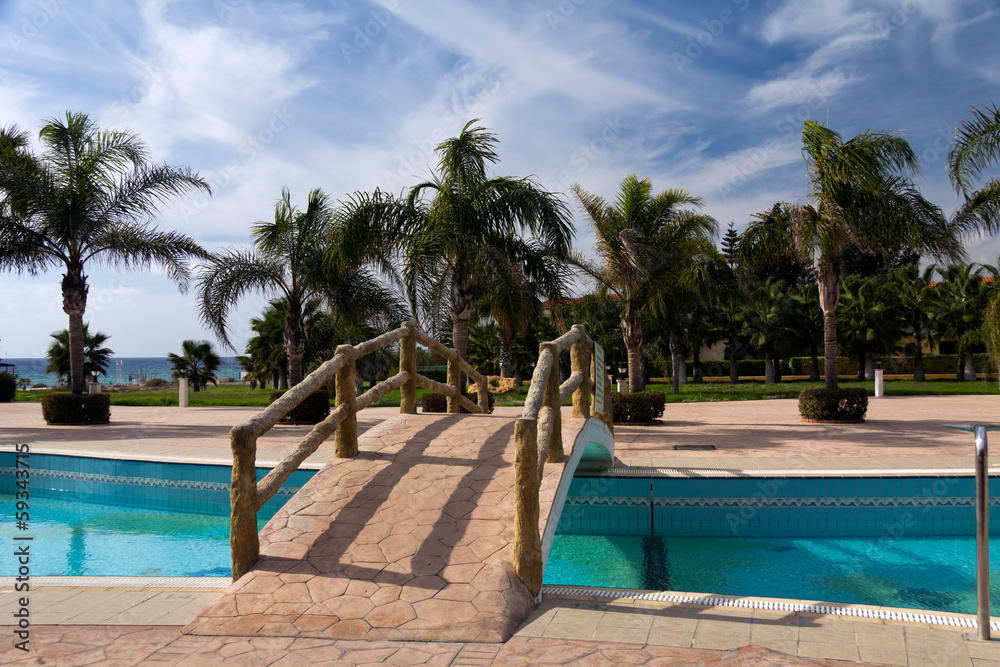 Fototapeta premium Palmengarten am Strand, mit der Brücke