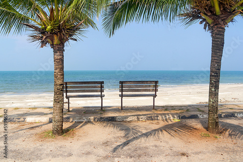 Bench near beach with green coconut tree