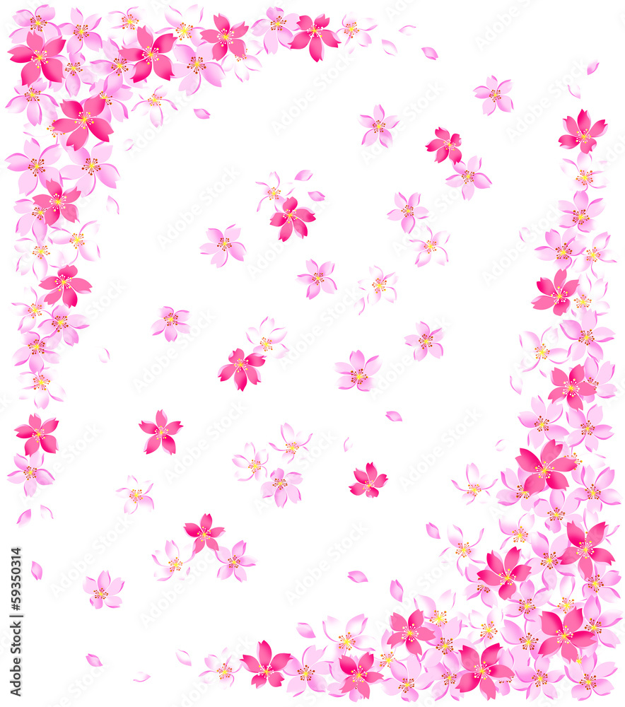 祝い, 桜の装飾